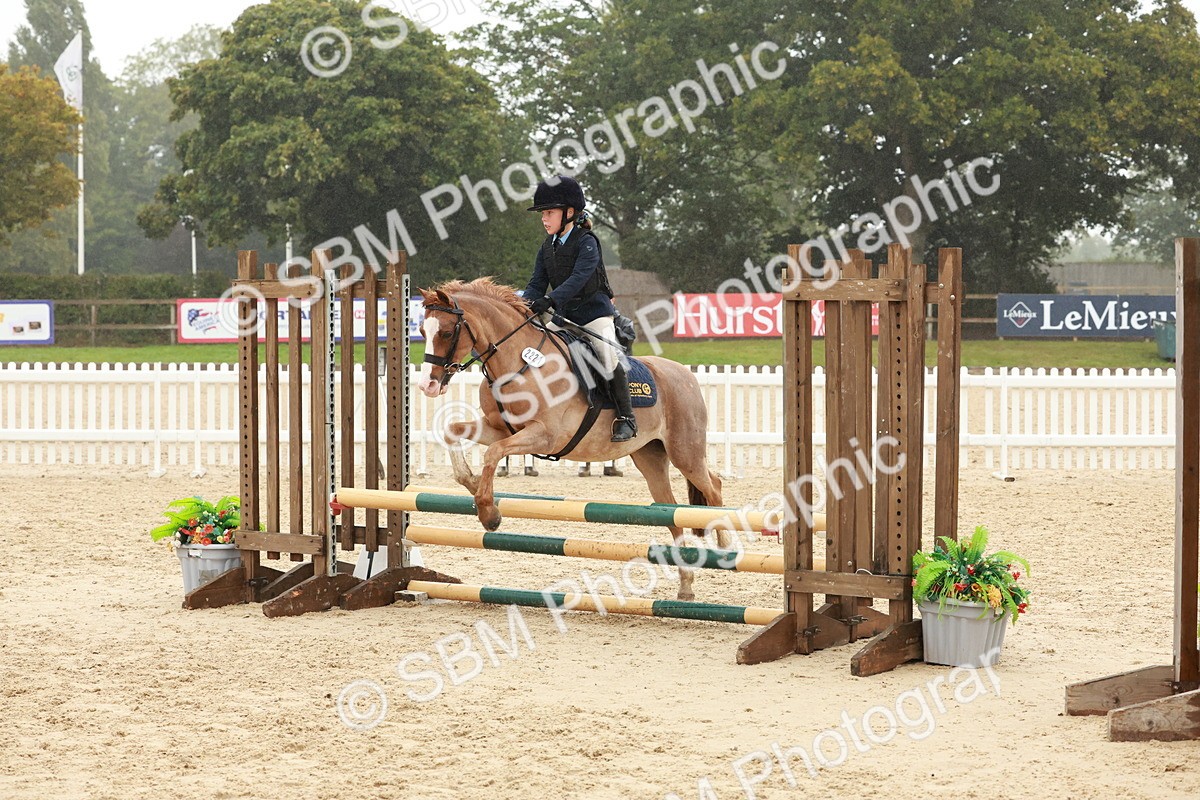 SBM_73331 - Supreme Championship Junior Pony 60cm & 65cm