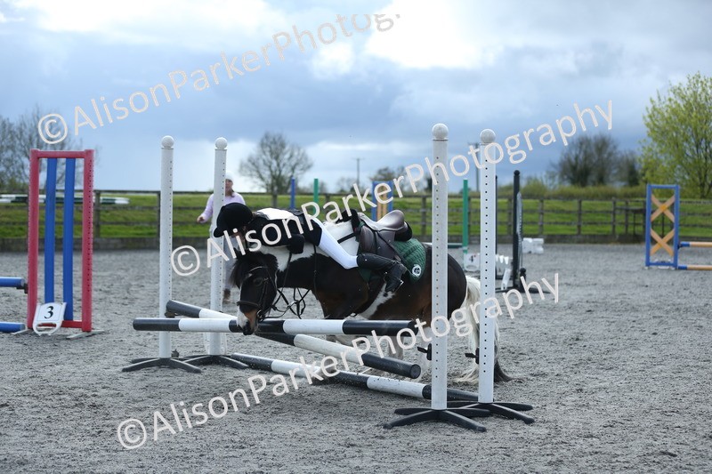 20260412-1826 - Show Jumping