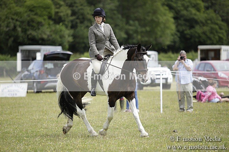 BVR160717-1899 - Ring 1 BVRC Show 16/07/17