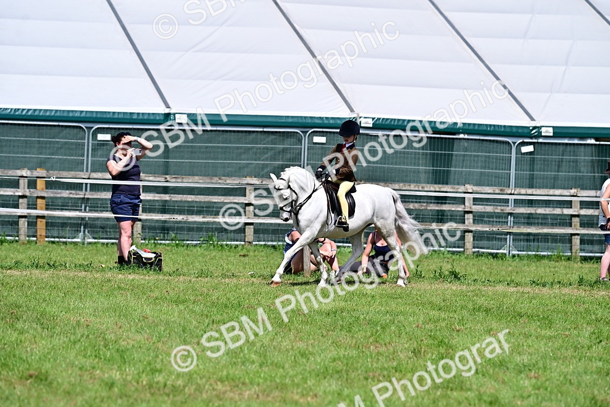 SBM_13978 - Class 95-97 - BSPS LHS Performance Ponies
