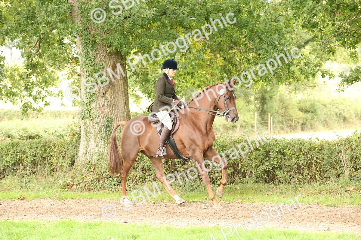 SBM_66296 - S66 - Hunter Ridden