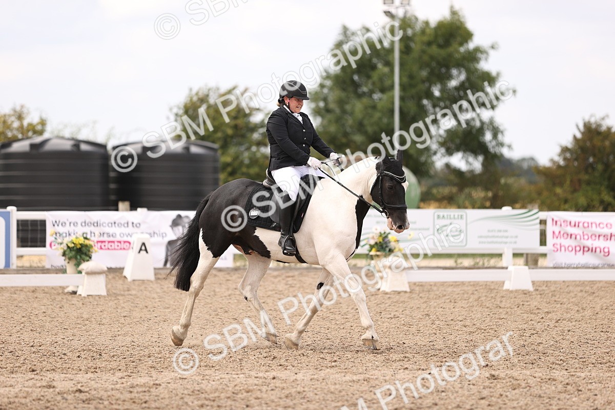 SBM_05992 - Class 37 Novice 5