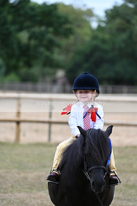 WJ7_8609 - Class 4 Prettiest Mare up to 14.2hh