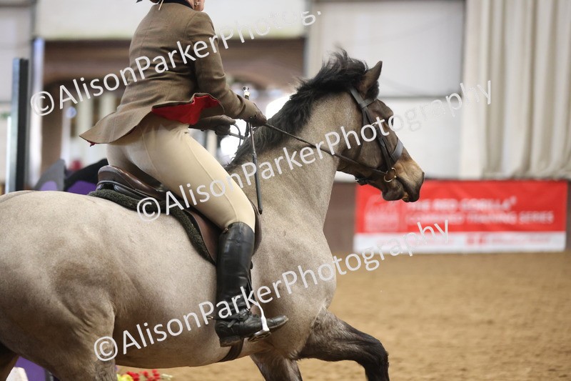 20260314-5665 - 80cm