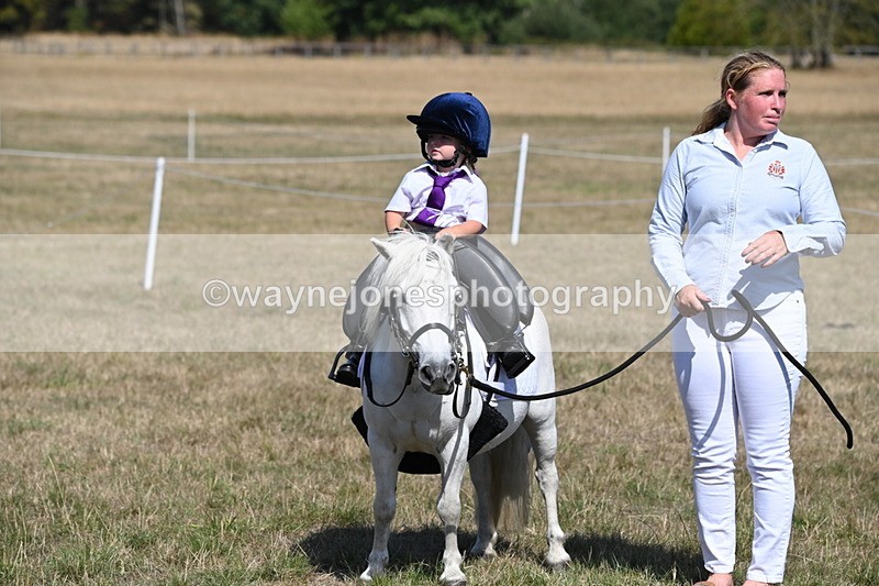 WJ6_9413 - Class 40 Cheekiest Pony/Horse