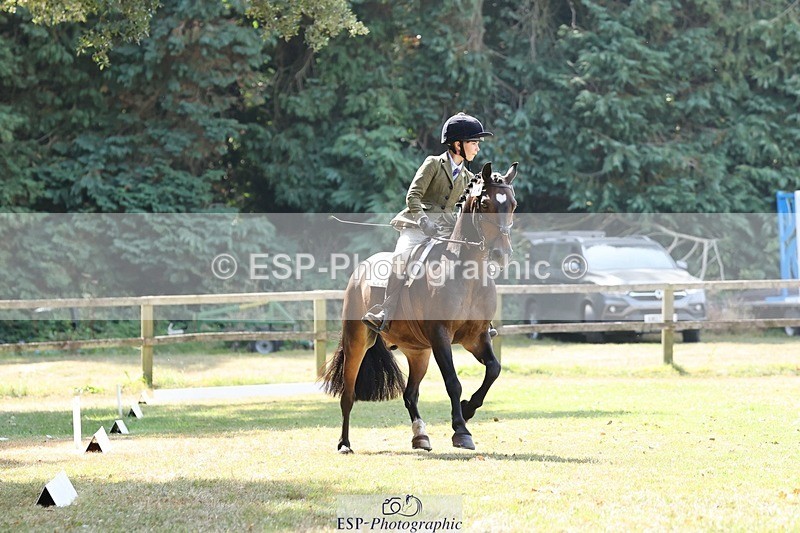 250823A-123340-29825 - Arena C