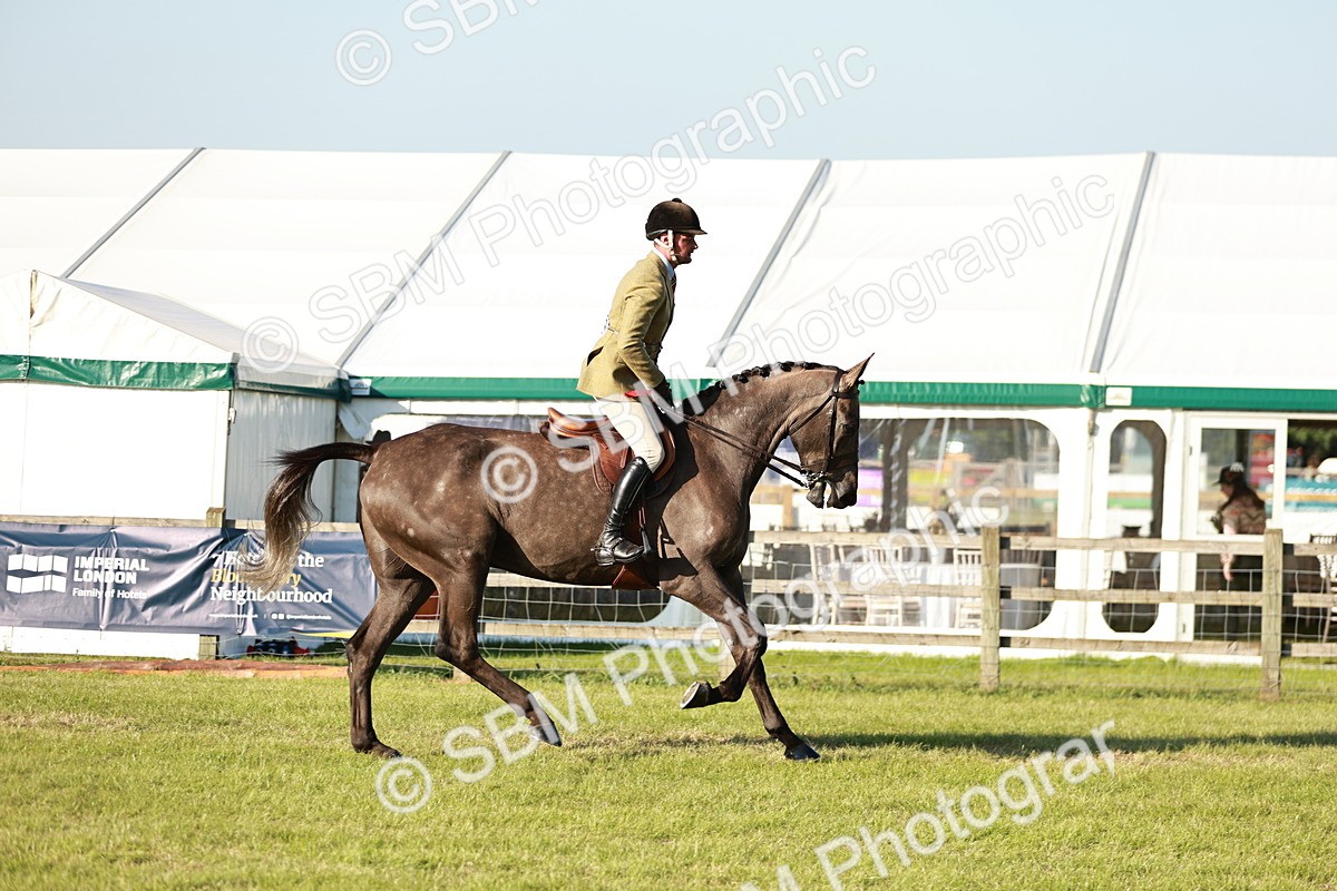 SBM_20180 - Class 117-119 - Sport Horse Working Hunter