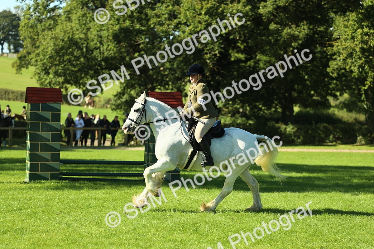 SBM_37390 - S29 - Novice & Newcomers Working Hunter Pony