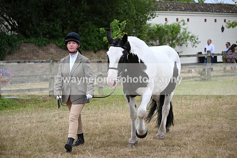 WJ6_8024 - Class 10 Coloured in Hand