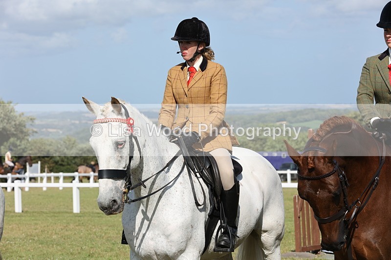 JPP_2970 - Class 20: Working Hunter 70cm