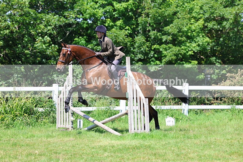 3E7A7446 - Class 31: Working Hunter Cob/Riding Horse