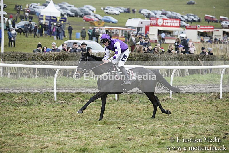 PtP 020418 -488 - Old Berks Point-to-Point Races Easter Monday 02/04/18