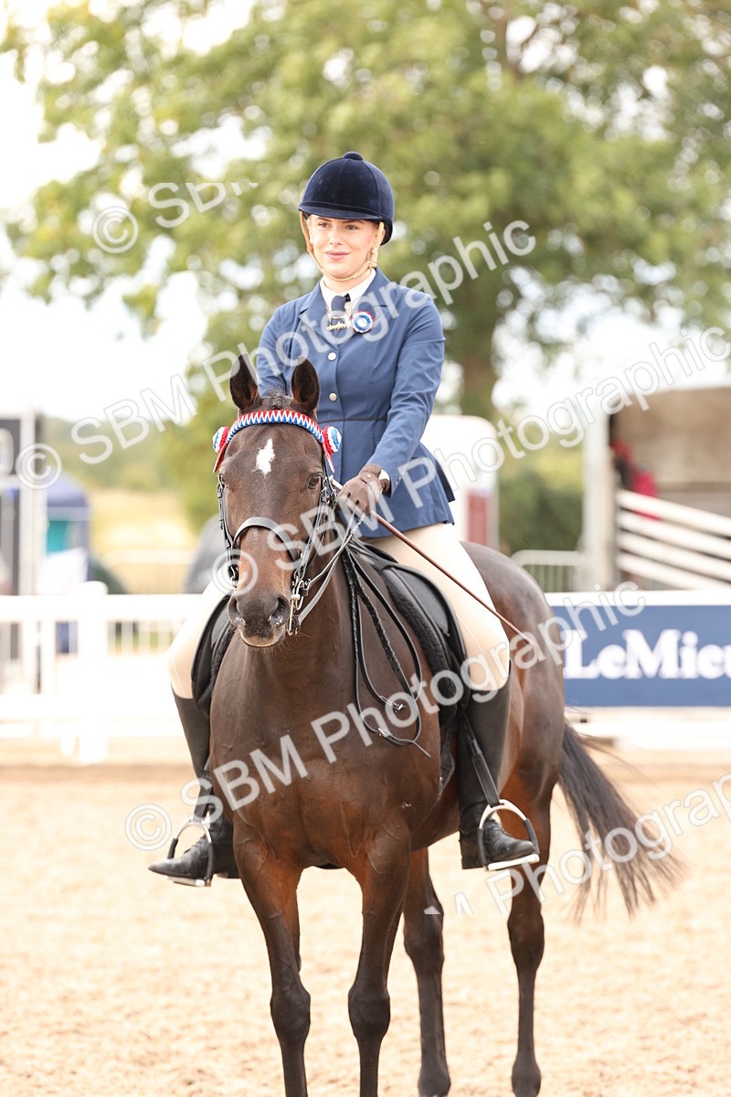 SBM_17355 - Class 214 - Ridden Hack Riding Horse