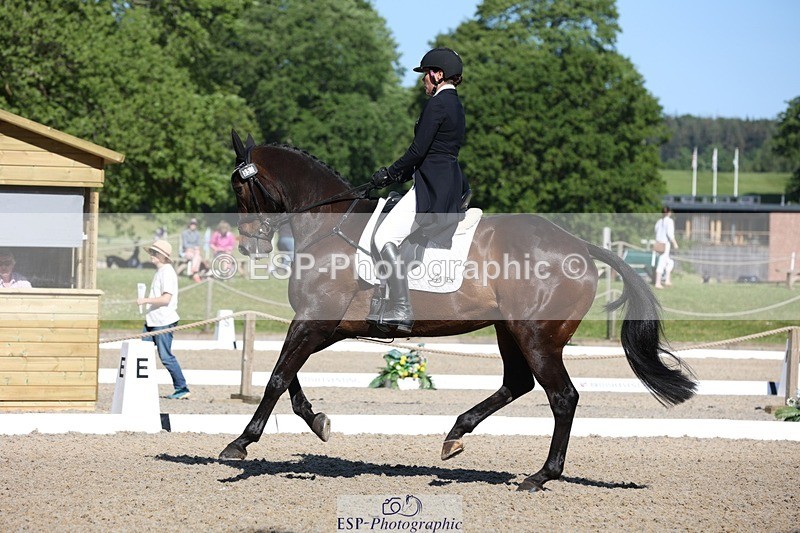 230526-091835-05033 - 353-THE_RIPPER-Bundy_Philpott-WEDTrotUp+DR