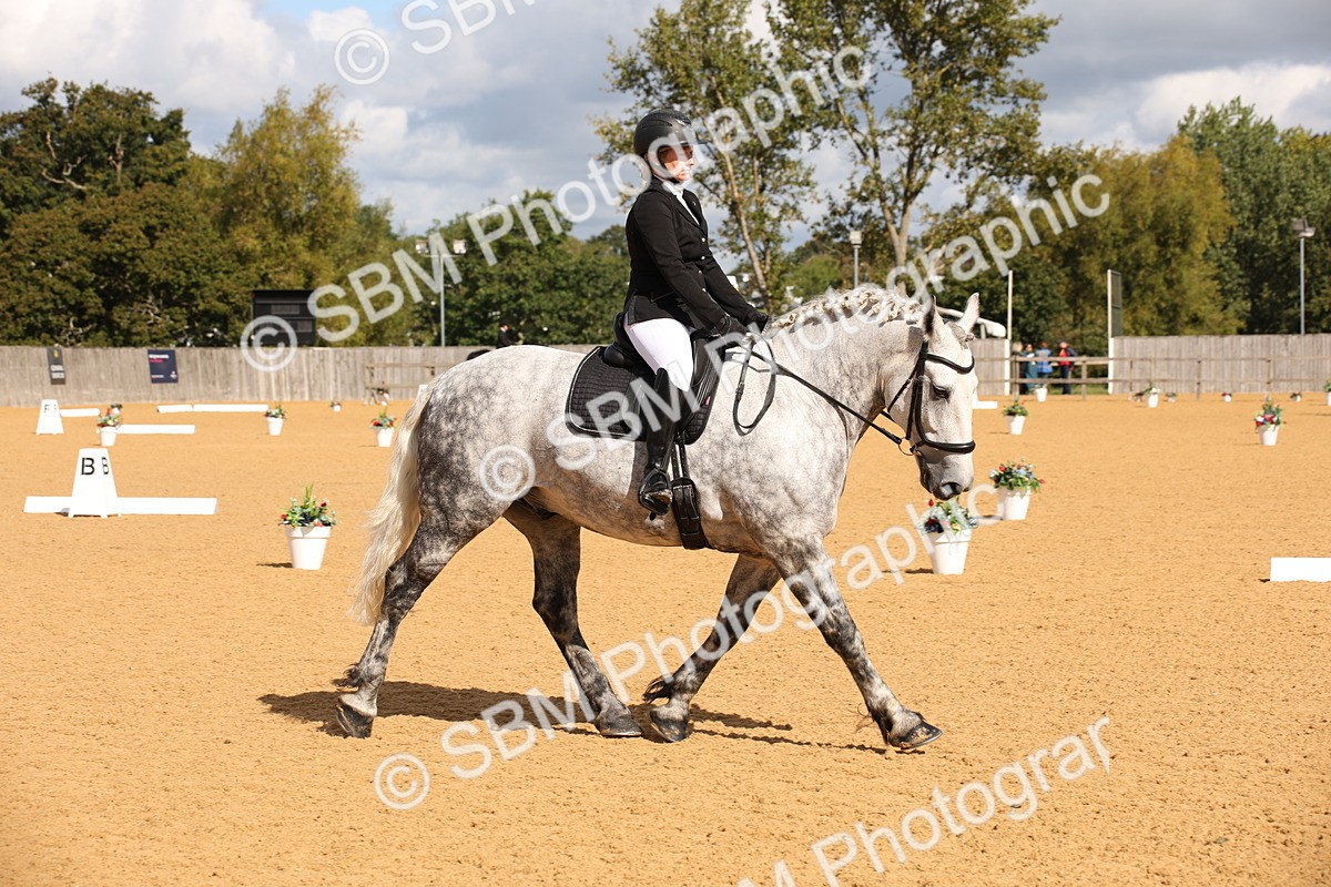SBM_04287 - D2 Small Tour Championship Intro C