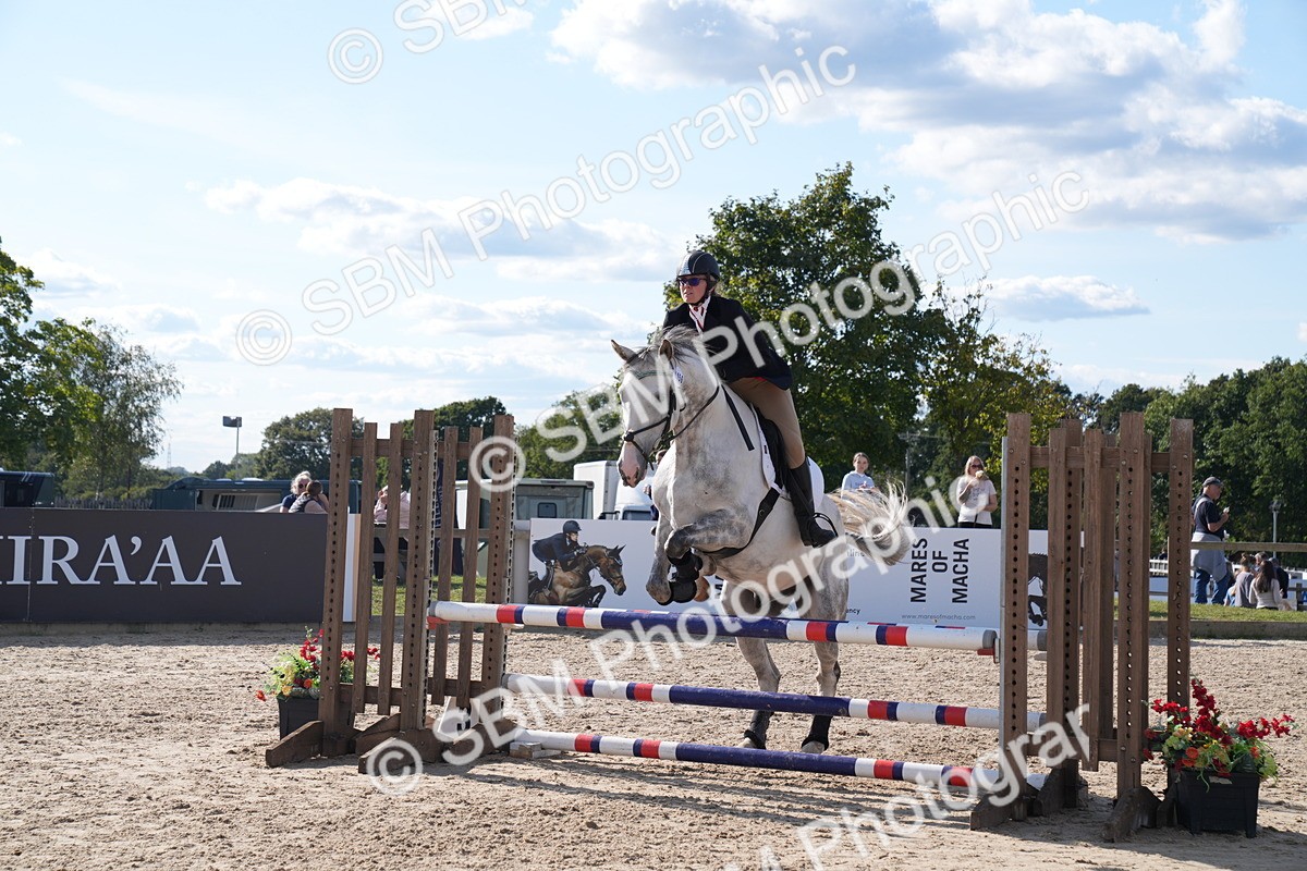 SBM_26091 - J61 - Clear Round 75cm & 85cm