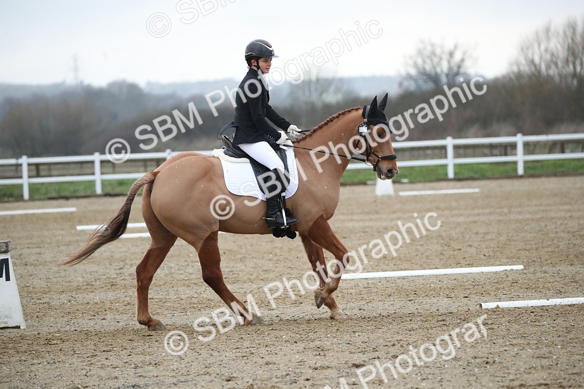 SBM_004776 - Novice 3