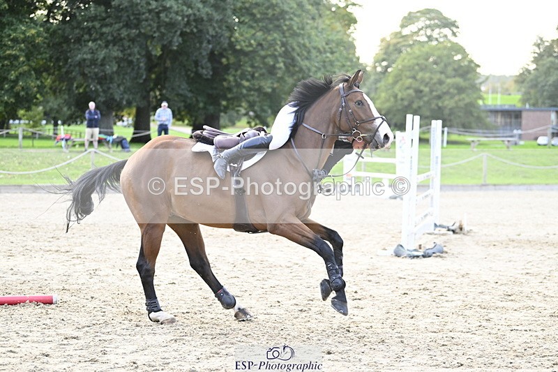 251005A-180311-05559 - Cls 12 Adv 1.10m Ind