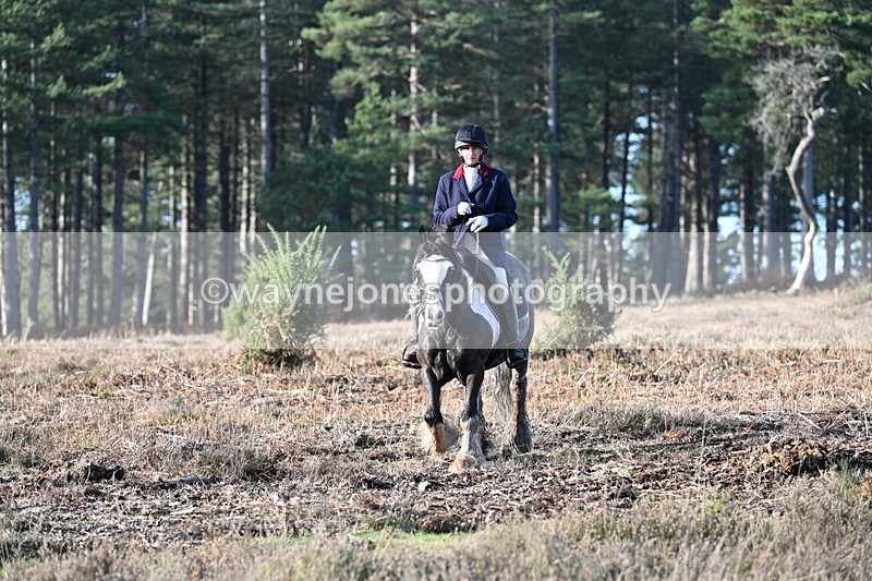 WJ7_7287 - Line 3 (no line 4 or 5)