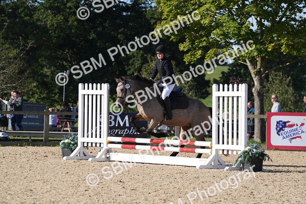 SBM_36140 - J 20 - Junior Horse 50cm Championship