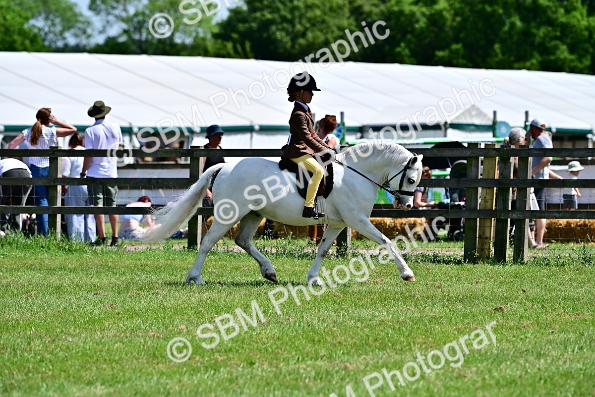 SBM_06430 - Class 59-60 - TSR M&M  Lear Rein and First Ridden Amateur of the year