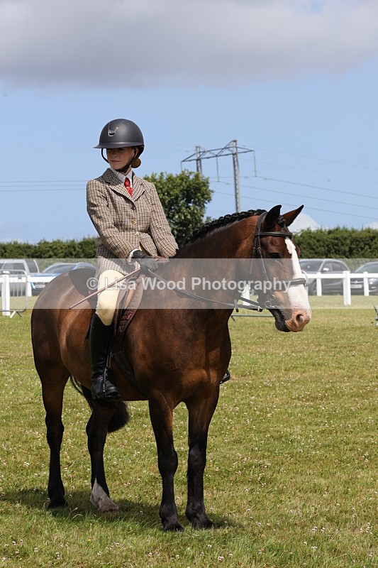 1X9A4110 - Class 32: Show Hunter Pony 153cm and under