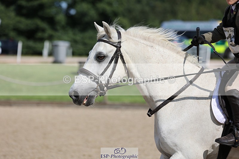 240823X-101141-15404 - 60cm R1 10.00 to 11.30