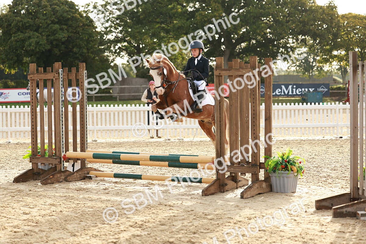 SBM_55520 - J11 - Junior Pony 50cm Championship