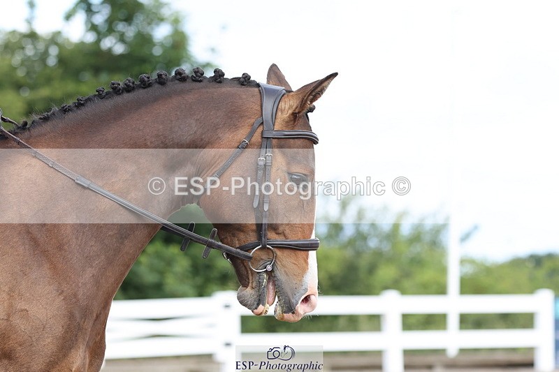 240706A-100000-00323 - Cls 2A Snr Prelim 7 Start to 10 break