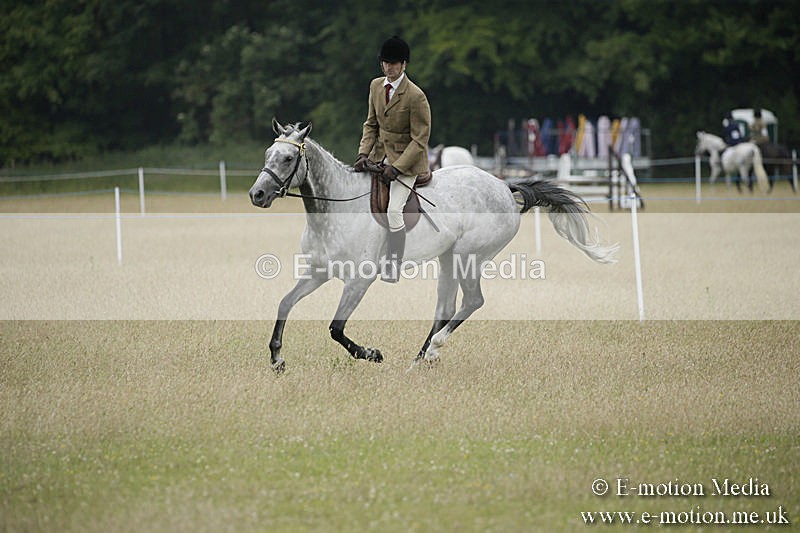 B230619-0893 - Bourne Valley Riding Club Summer Show 23/06/19