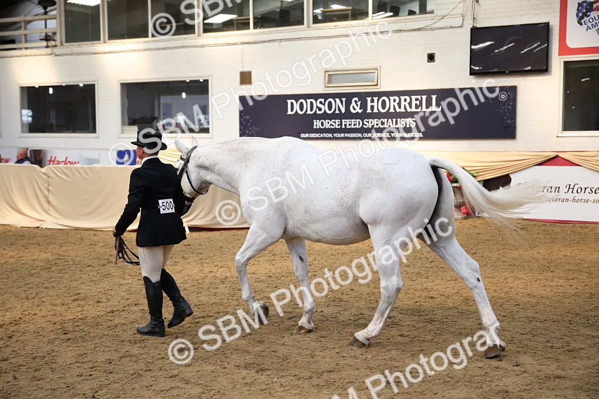 SBM_24740 - Class 906 - Supreme Final - Ridden Pre Vet
