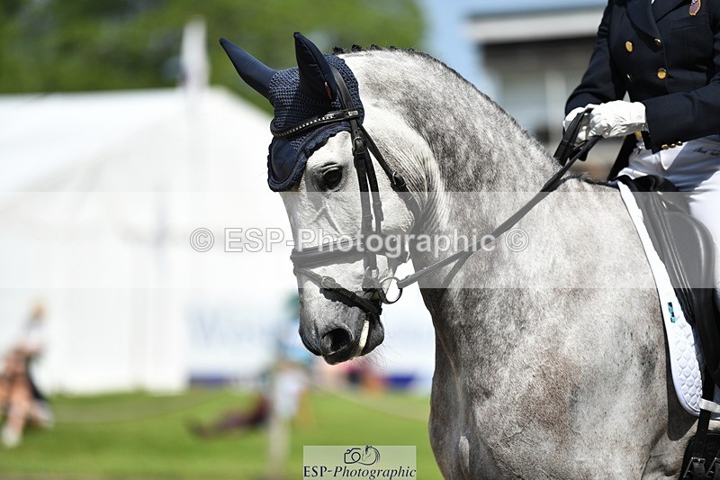 230525-105250-01807 - 316-D'ARTAGNAN-Tiana_Coudray-WEDTrotUp+DR