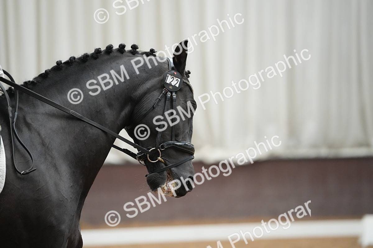 SBM_003209 - Class 11 - Elementary 2 Champs