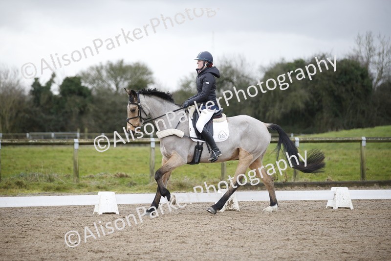 20260127-0400 - Class 17 - BD Novice 3