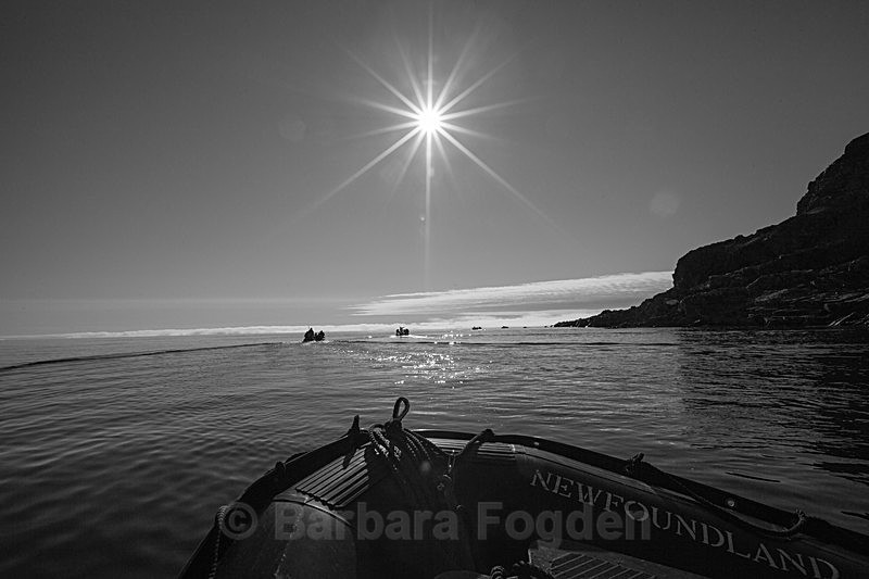 Karl XII øya  7022 - Trip with MS Expedition August 2016