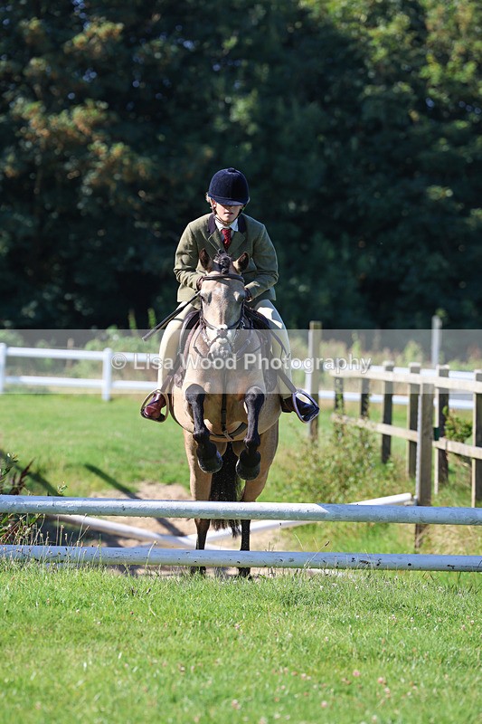 3E7A7745 - Class 2: Open Working Hunter pony