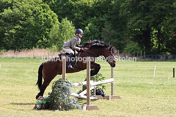 IMG_4271 - Working Hunter