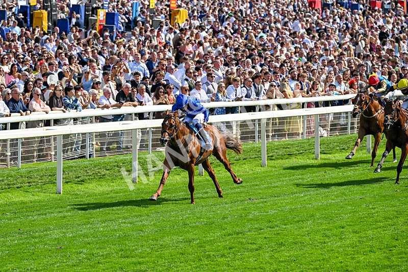 220826-Race 3-Notable Speech-0347 - Race 3 15.00pm Sky Bet City Of York Stakes