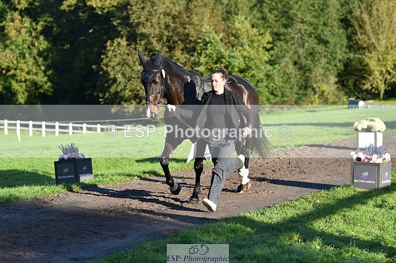 231022-092558-21782 - 632-ANGELL'S.CHOICE-Saffron.Cresswell-TrotUp+SJ