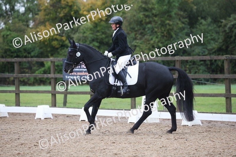20261021-0741 - Class 6 - Novice 3