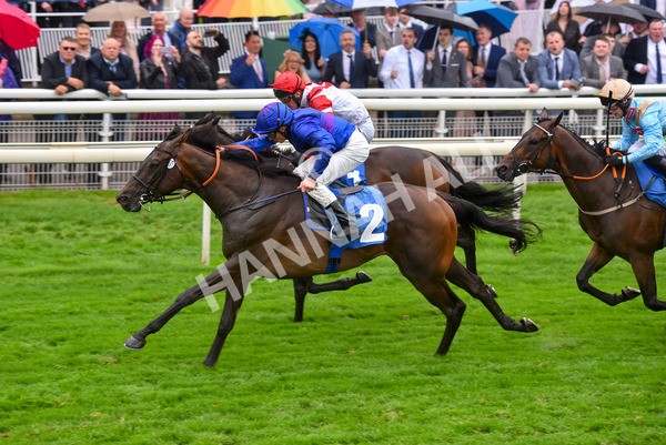yr21082021r6-37 - Race 6 4.45pm Sky Bet Stakes