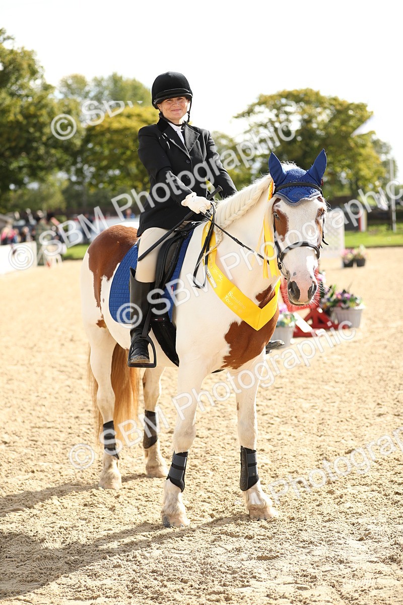 SBM_02034 - J34 - Veteran Rider 50cm