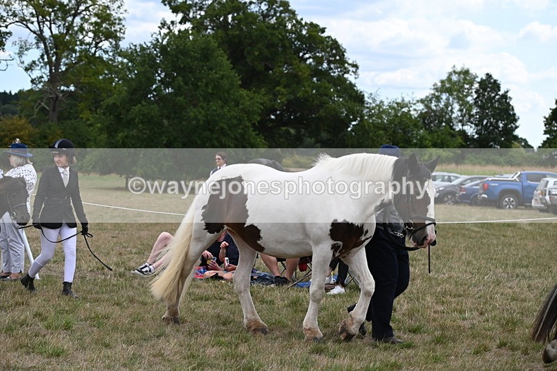 WJ6_5189 - Class 18 In-hand Coloured