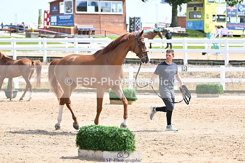 240717A-145849-02388 - Trot Up 2pm to 3pm - This folder is not in time order