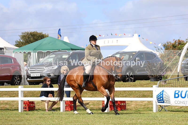 3E7A9432 - Class 4: Rising Star M/H Hunter