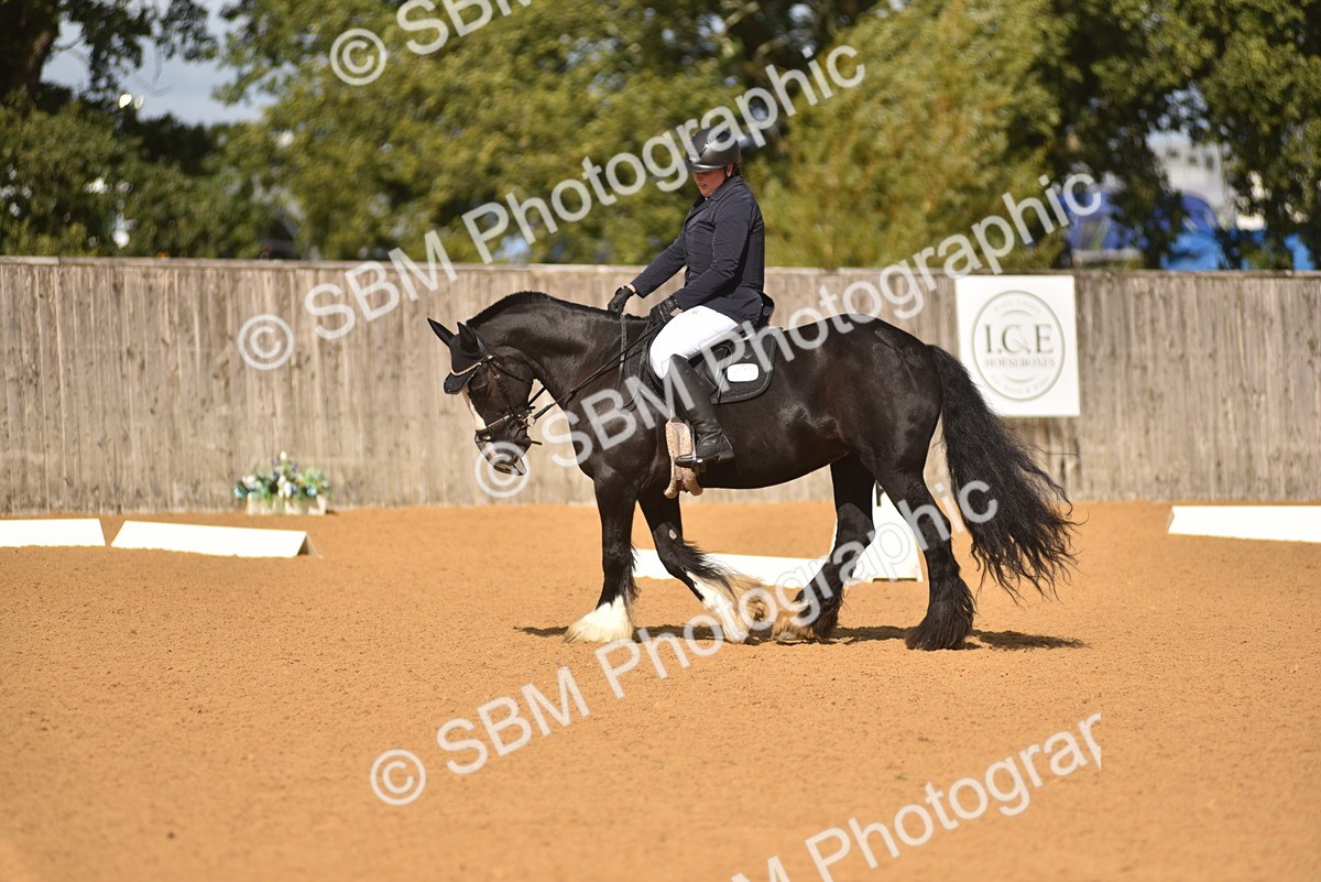 SBM_03260 - D4 - Small Tour Championship Intro 4