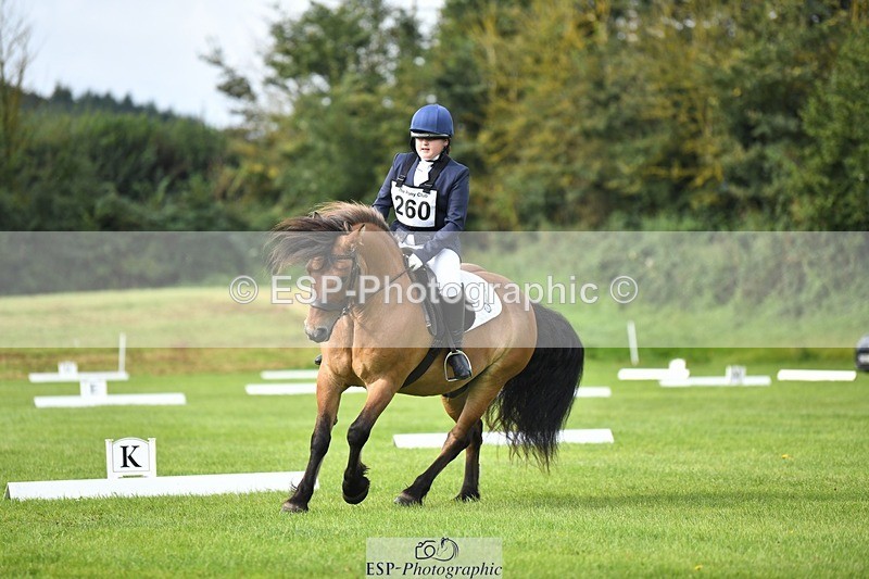 230826-101105-15398 - Sections C & D 10 to End