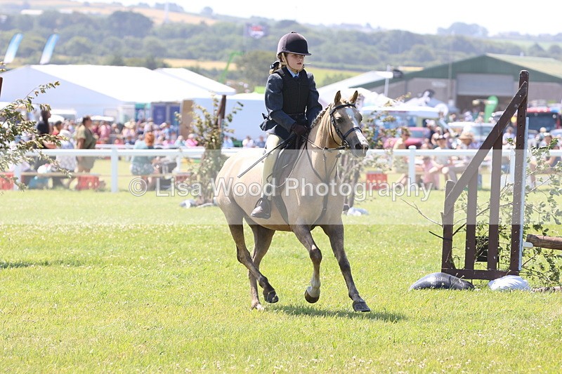 JPP_2208 - Class 20: Tiny Tots Working Hunter Pony