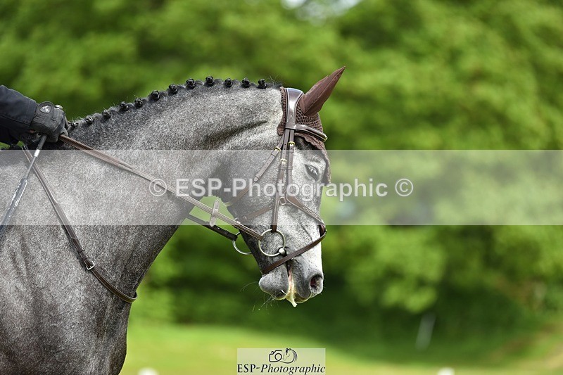 240523B-114206-02047 - 5 Year Old