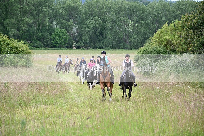 WJ6_8371 - Camera 1 Gallops